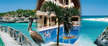 Sprachcaffe Playa Del Carmen - Meksika Yaz Okulu